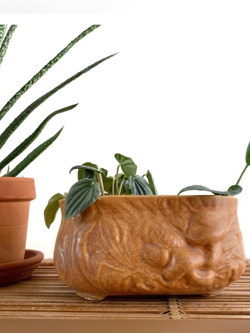 Vintage Boho Ceramic Planter with Mushroom Design | Small Oval Plant Pot